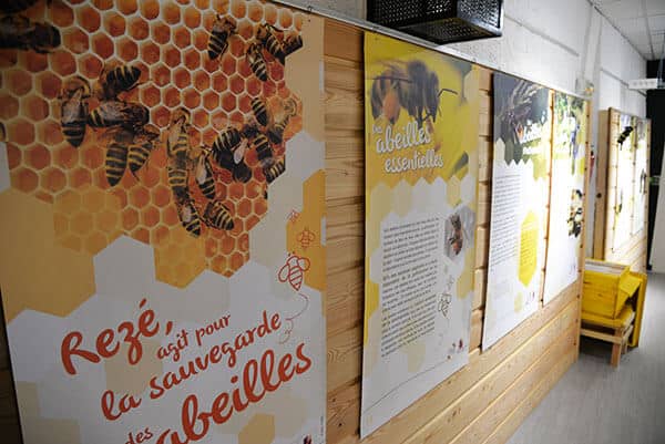 Visuel d'exposition avec dessin de ruches et abeilles